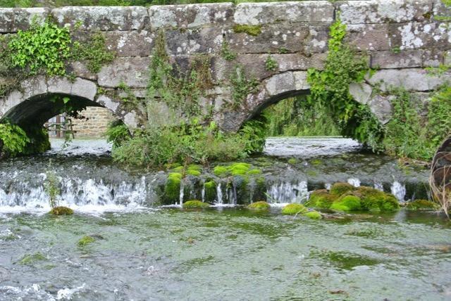 Posada Rural La Flor Del Nogal Ruente エクステリア 写真