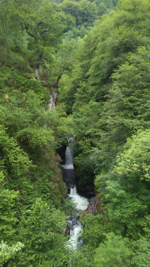Posada Rural La Flor Del Nogal Ruente エクステリア 写真